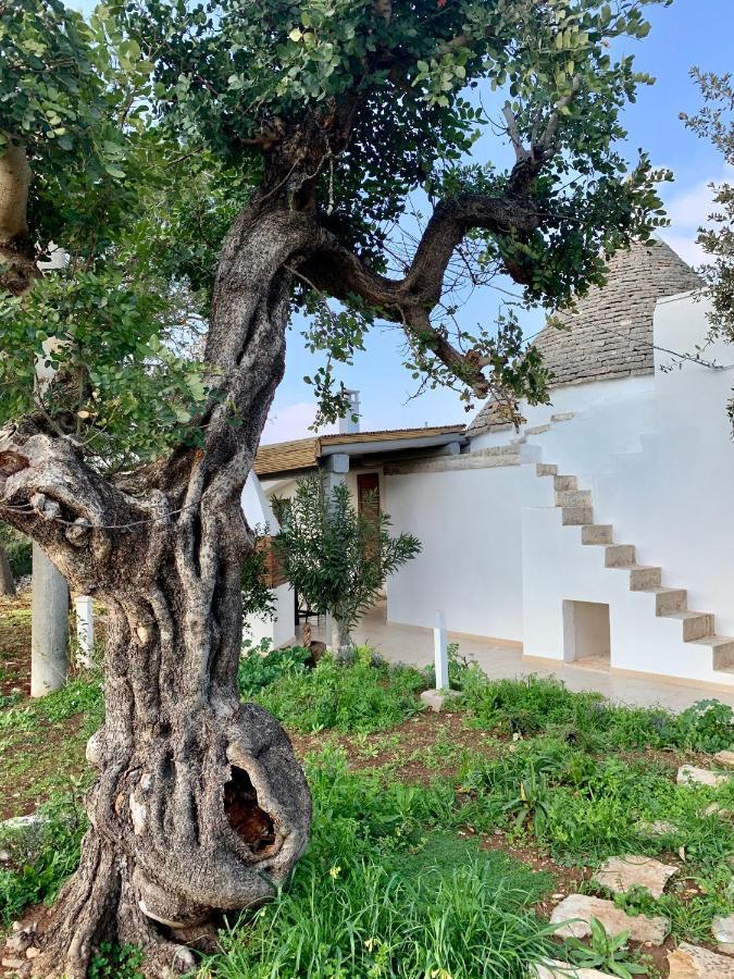 Trullo Labellavita Putignano Exteriör bild